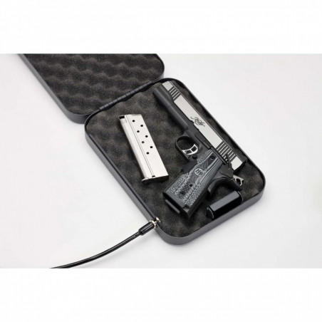 Hornady cassetta di sicurezza Lock Box X-Large (95210) | armi | oggetti di valore | acciaio