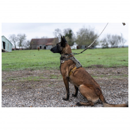 5.11 Mission Ready Dog Harness 56789 | cani | pettorina | imbracatura | corpetto | ITA | tattica | Perugia